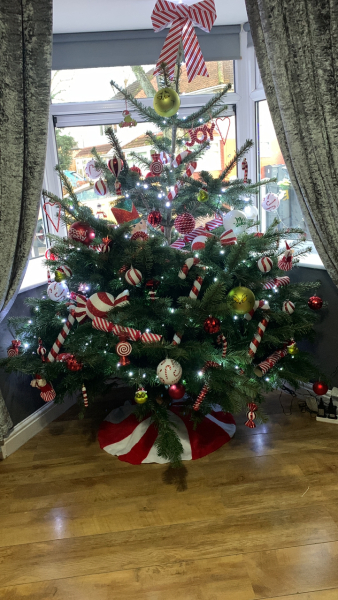 The ultimate SHOW US YOUR TREE megathread!
