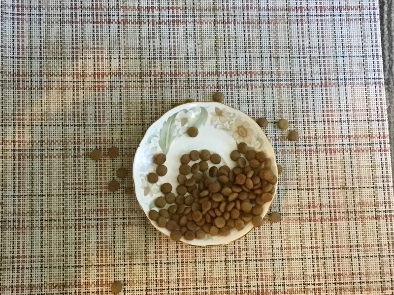 Oh the horror! Impending starvation!🙀