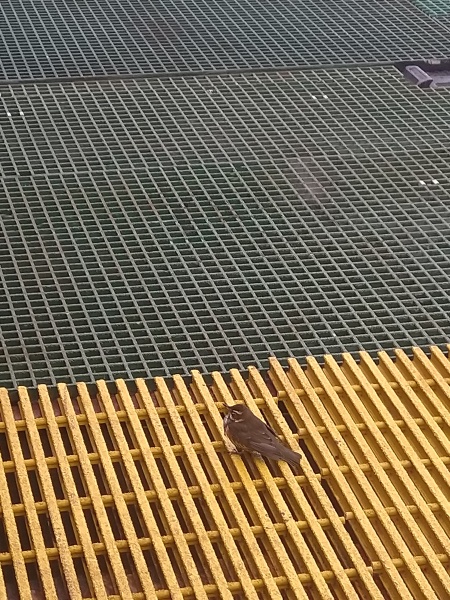 Thread 10 - TalkLair: “The candle flame gutters. Its little pool of light trembles.”