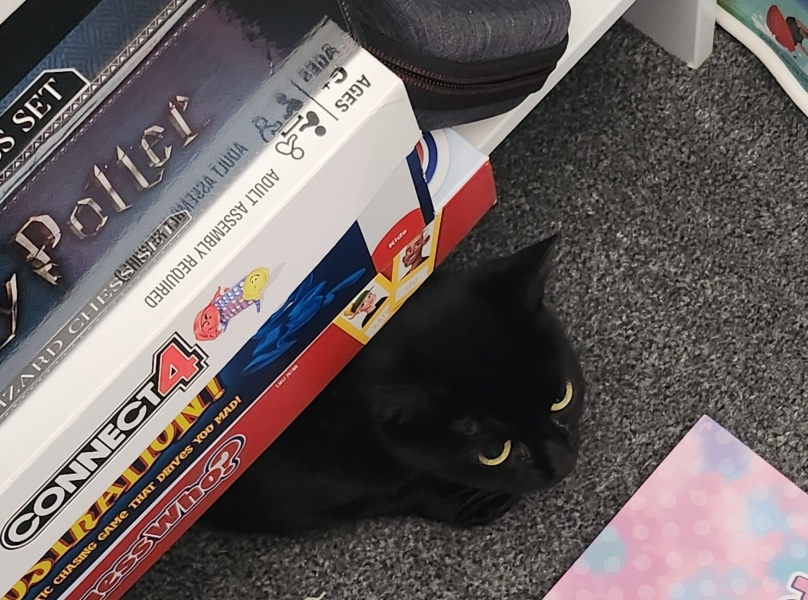 Good quality cat food