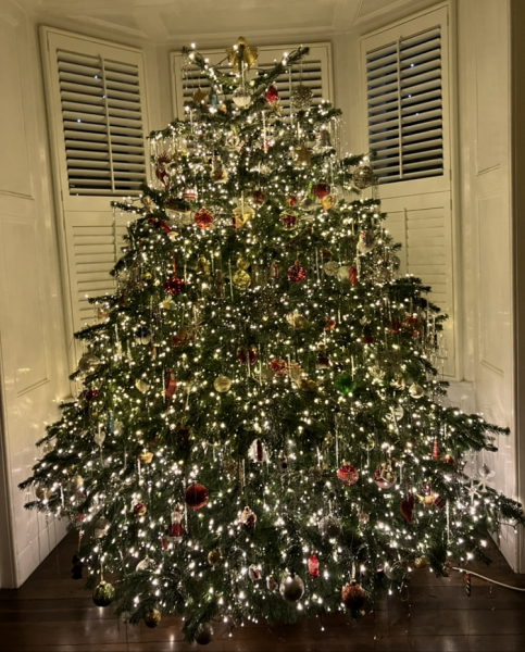 The ultimate SHOW US YOUR TREE megathread!