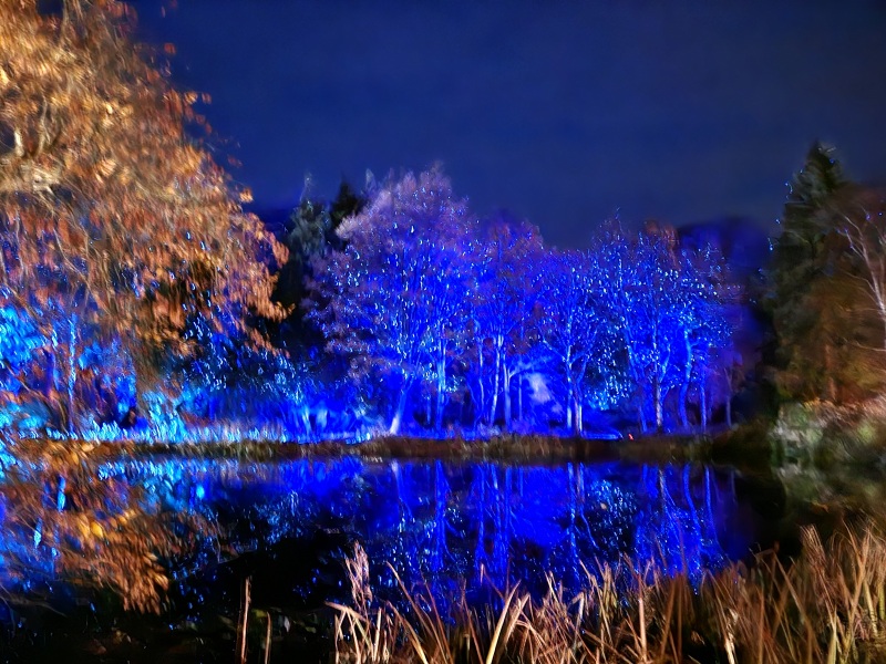 Nigel Slater Christmas Chronicles Read Along 2023 - Part Two