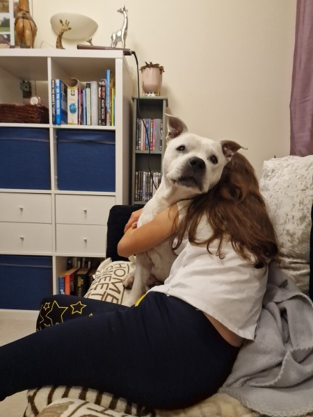 To ask you to come and celebrate your dog with me