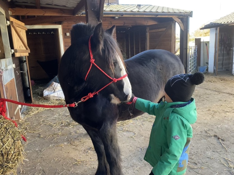 Picking up my new pony today!