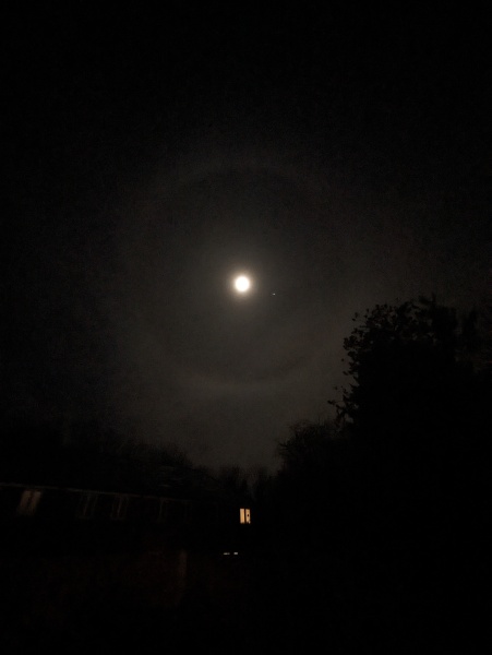 The Moon just now (pic)