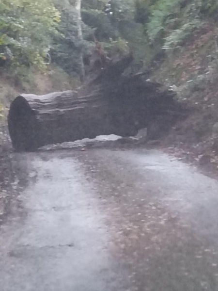 Storm Ciaran, walking to school.