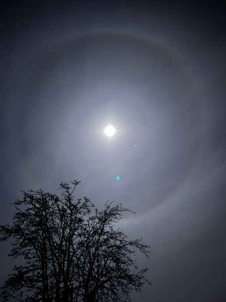 The Moon just now (pic)