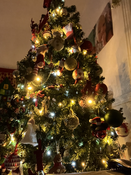 The ultimate SHOW US YOUR TREE megathread!