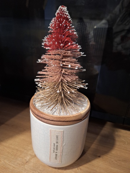 Nigel Slater Christmas Chronicles Read Along 2023 - Part Two