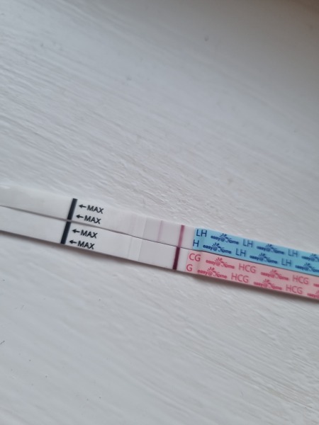 Positive pregnancy test??