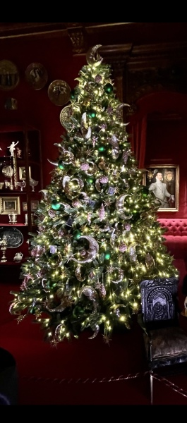 The ultimate SHOW US YOUR TREE megathread!