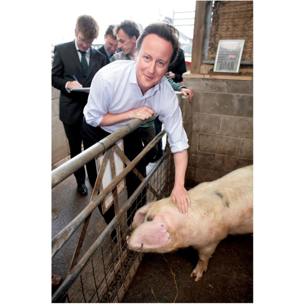David Cameron as foreign secretary