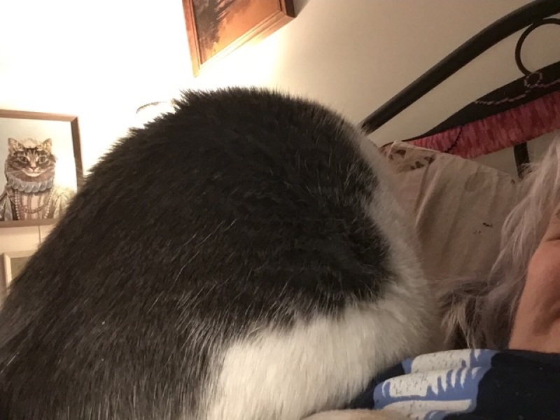 Let's see your best "Loaf of Doom" pics!