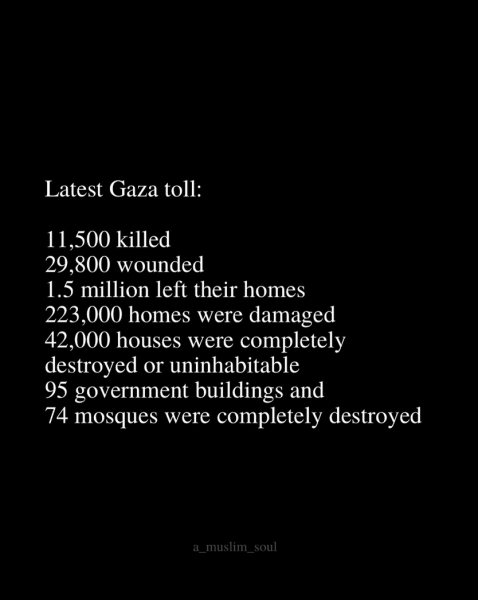 Documenting Israeli army racism and torture