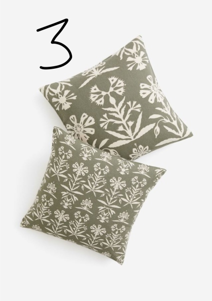 Please help me decide what cushions!