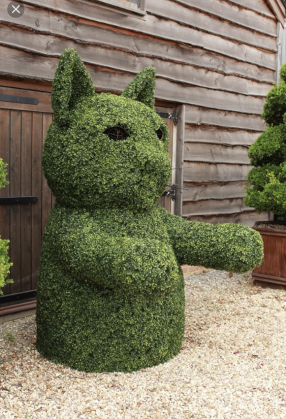 or is cat hating new neighbour batshit crazy?