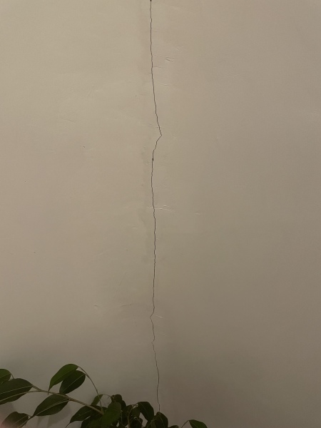 Would this crack worry you?