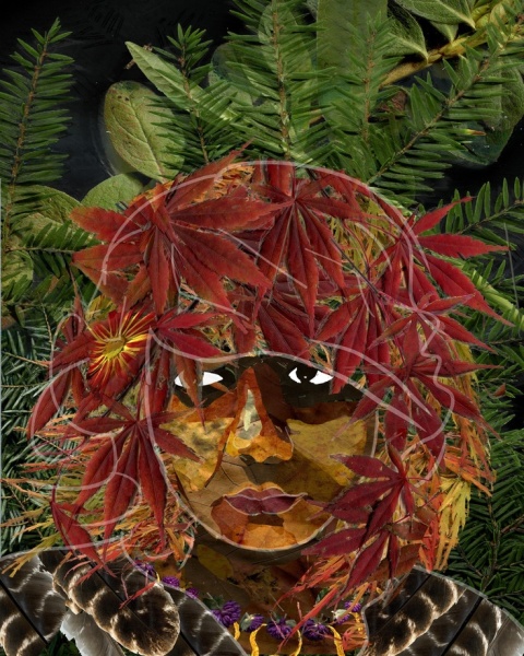 Obsessive neighbour losing the plot over leaves