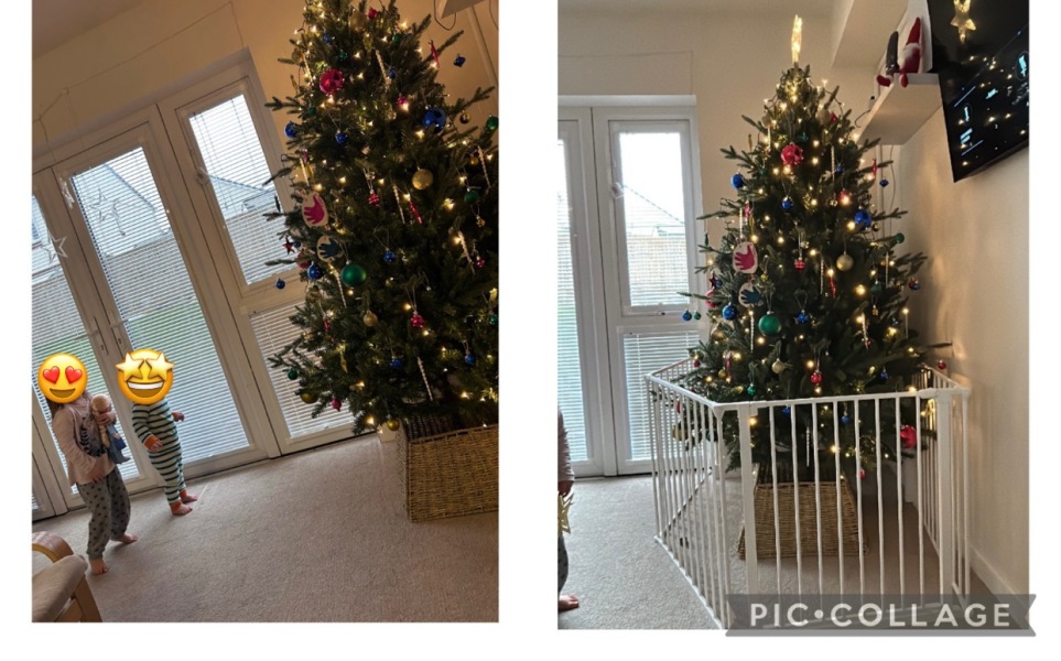 Show me your trees!