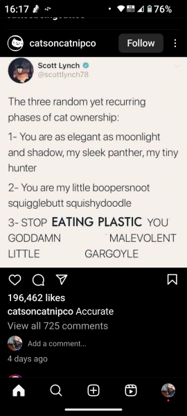 The Very Eventful Lives of the Excellent Cats