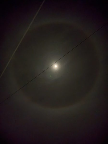 The Moon just now (pic)
