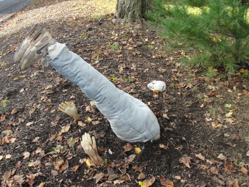 Obsessive neighbour losing the plot over leaves
