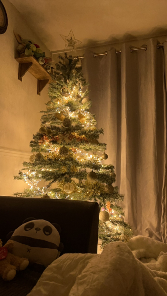 Is it just me or are people putting up the Christmas tree earlier and earlier?