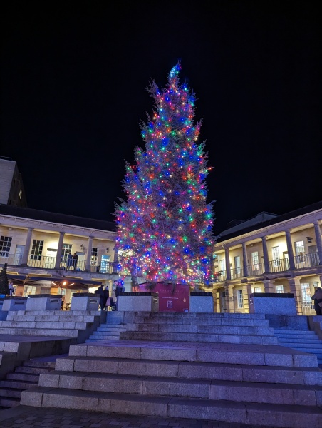 The ultimate SHOW US YOUR TREE megathread!