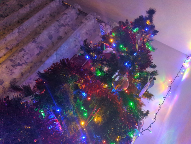 Iv gone and put my tree up