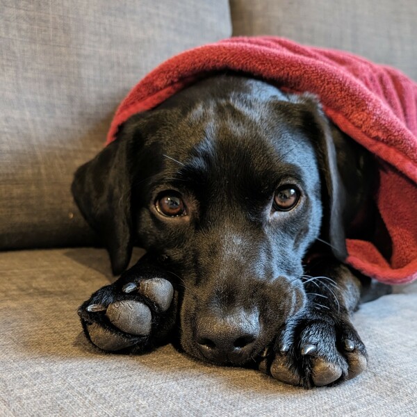 Very boring question, best dry robe recommendations please