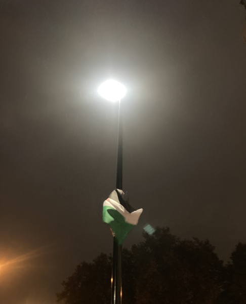 Is it allowed to put political flags on public lamp posts for the entire street?