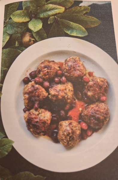 Nigel Slater Christmas Chronicles Annual Read along 2023