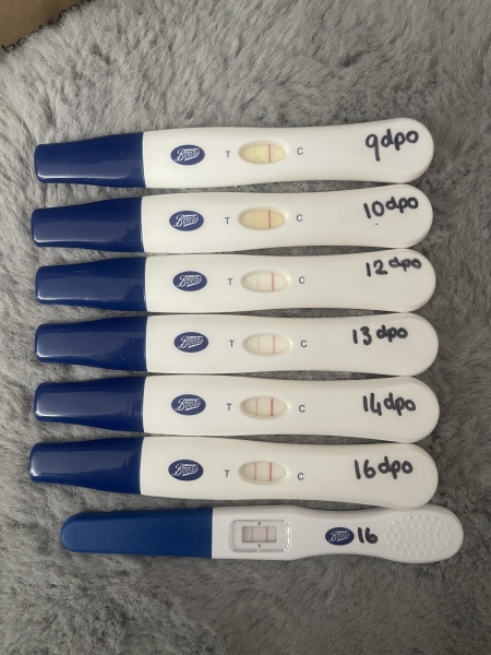 Like progression, is it dark enough at 16dpo?