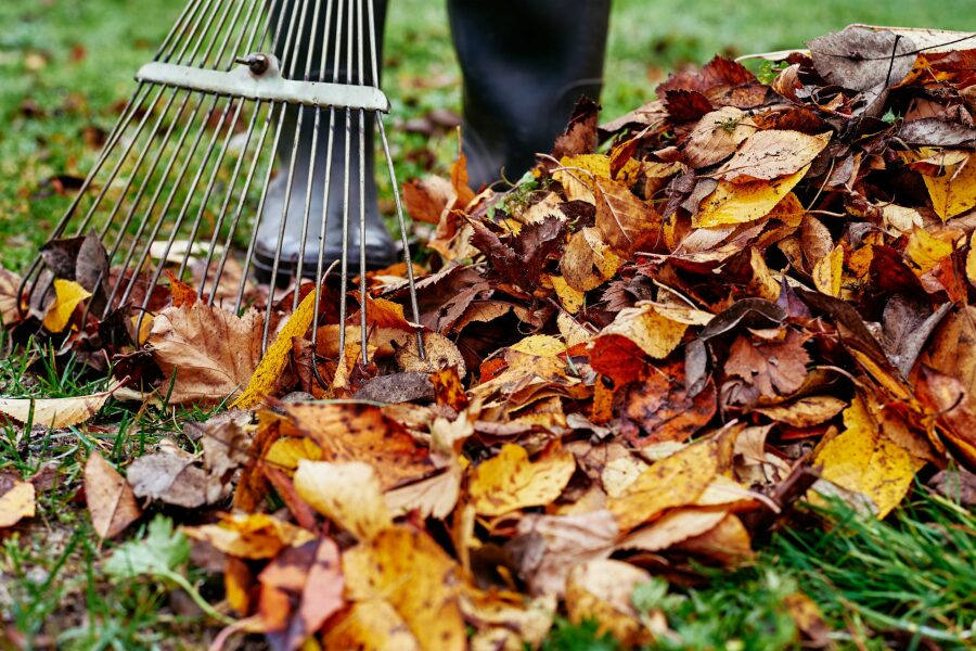 What have you done in the garden today? Part 3