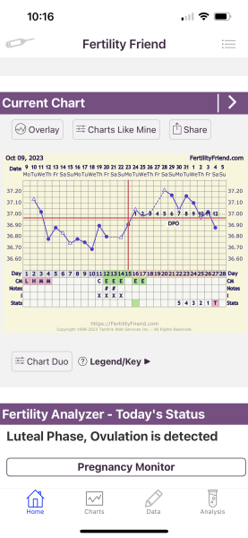 Temp drop/BFN - positive stories anyone?!