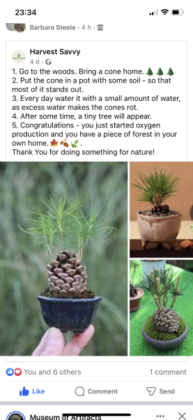 Any Witches Here?- Part 19