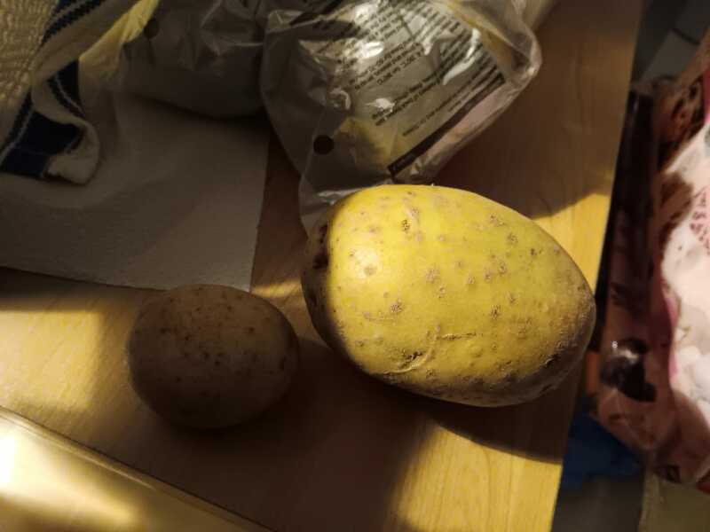 My son didn't believe me about a Jacket Potato shop!