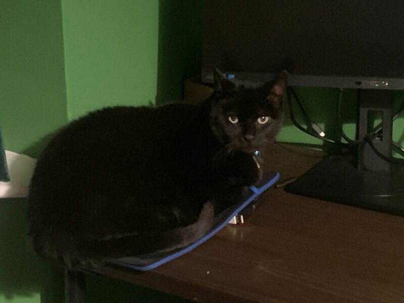 Let's see your best "Loaf of Doom" pics!