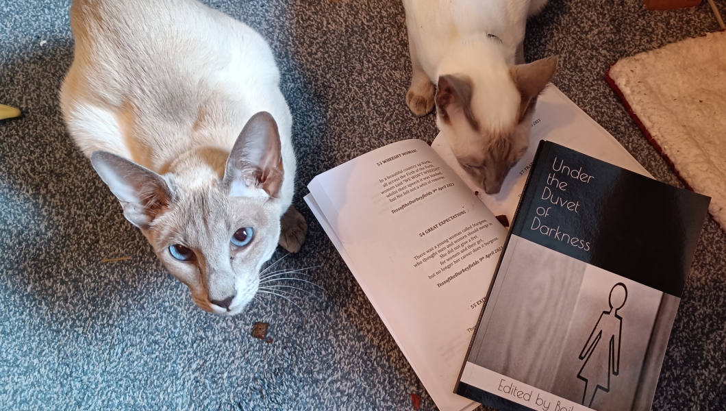 Lurking Merkins - Volume Two of Under the Duvet of Darkness