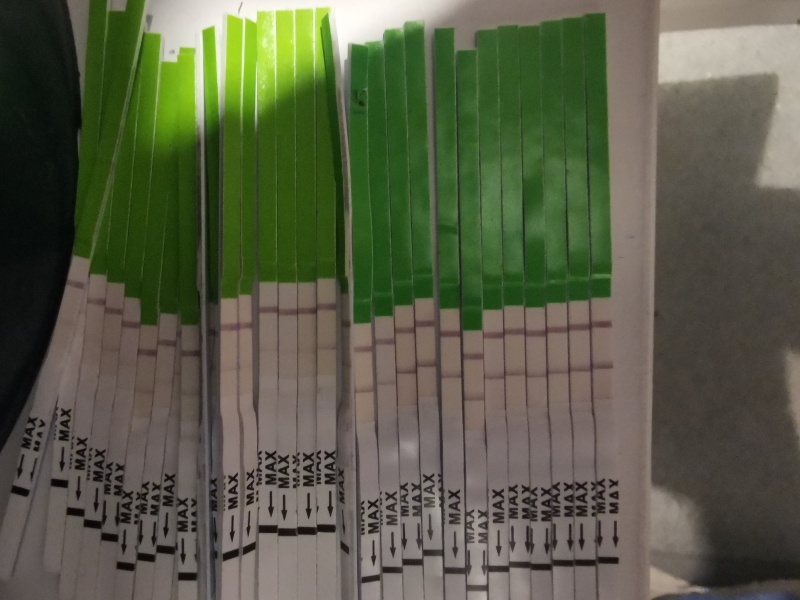 Lh surge what is going on??