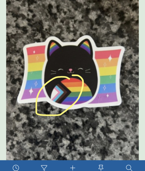 Trans/pride flag in children's stickers