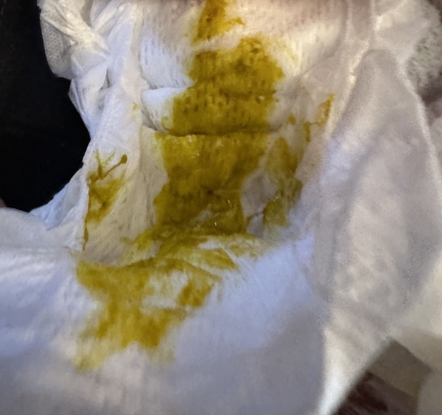Almost 10 week old, a lot going on and need some advice/support! Apologies in advance for the long winded post!