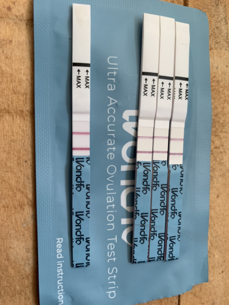 Ovulation