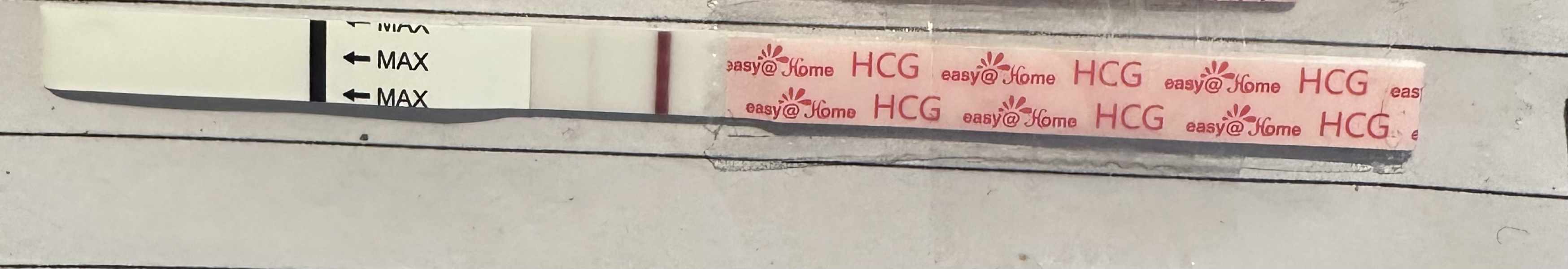 Bonking our way to BFPs: rainbow babies due Spring/Summer 24'