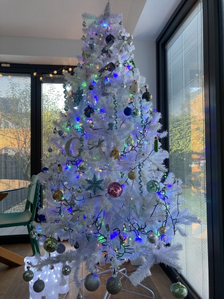 The ultimate SHOW US YOUR TREE megathread!