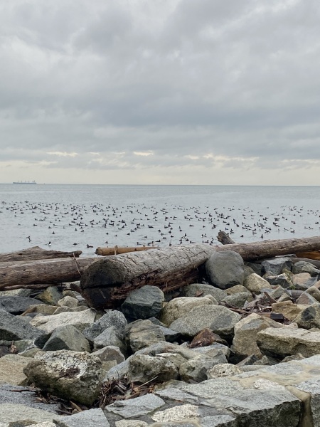 Come and tell me your dull and unexciting news 27: Calmly through the day