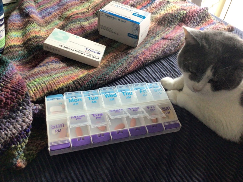 The Very Eventful Lives of the Excellent Cats