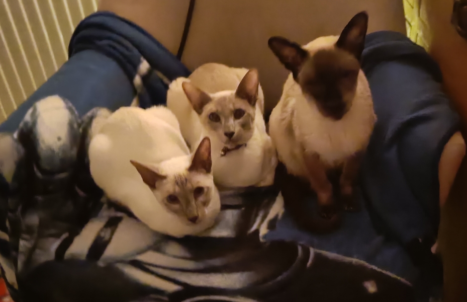 Let's see your best "Loaf of Doom" pics!