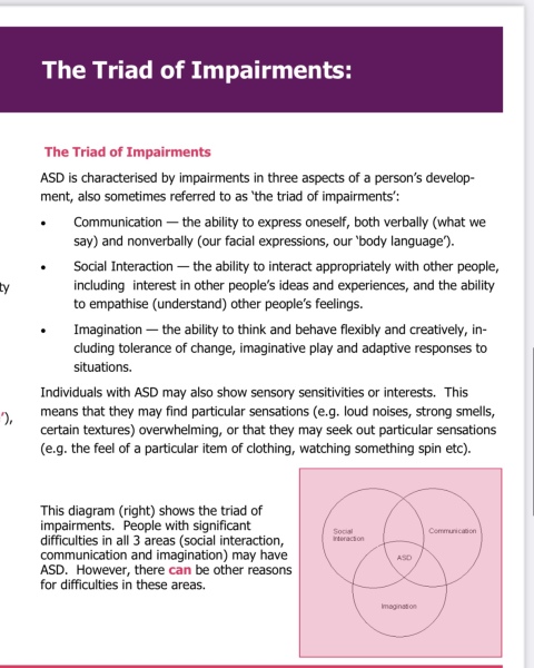 I keep hearing my son might be neurodivergent but I don't feel he is