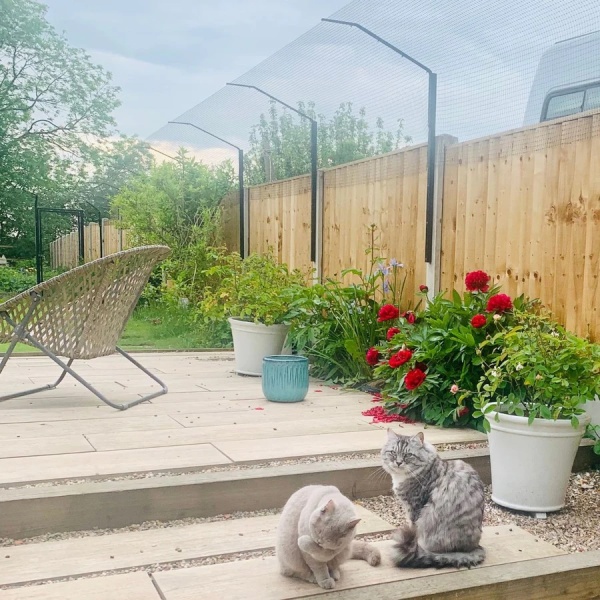 Putting fence in raised garden- neighbours
